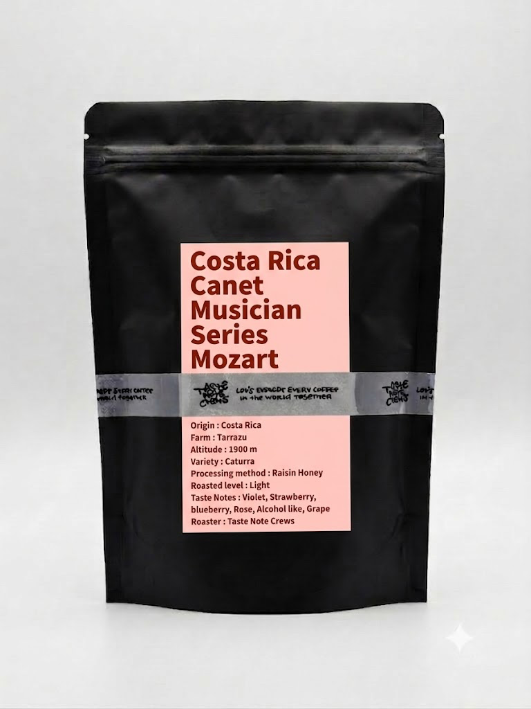 Costa Rica Canet Musician Series -Mozart